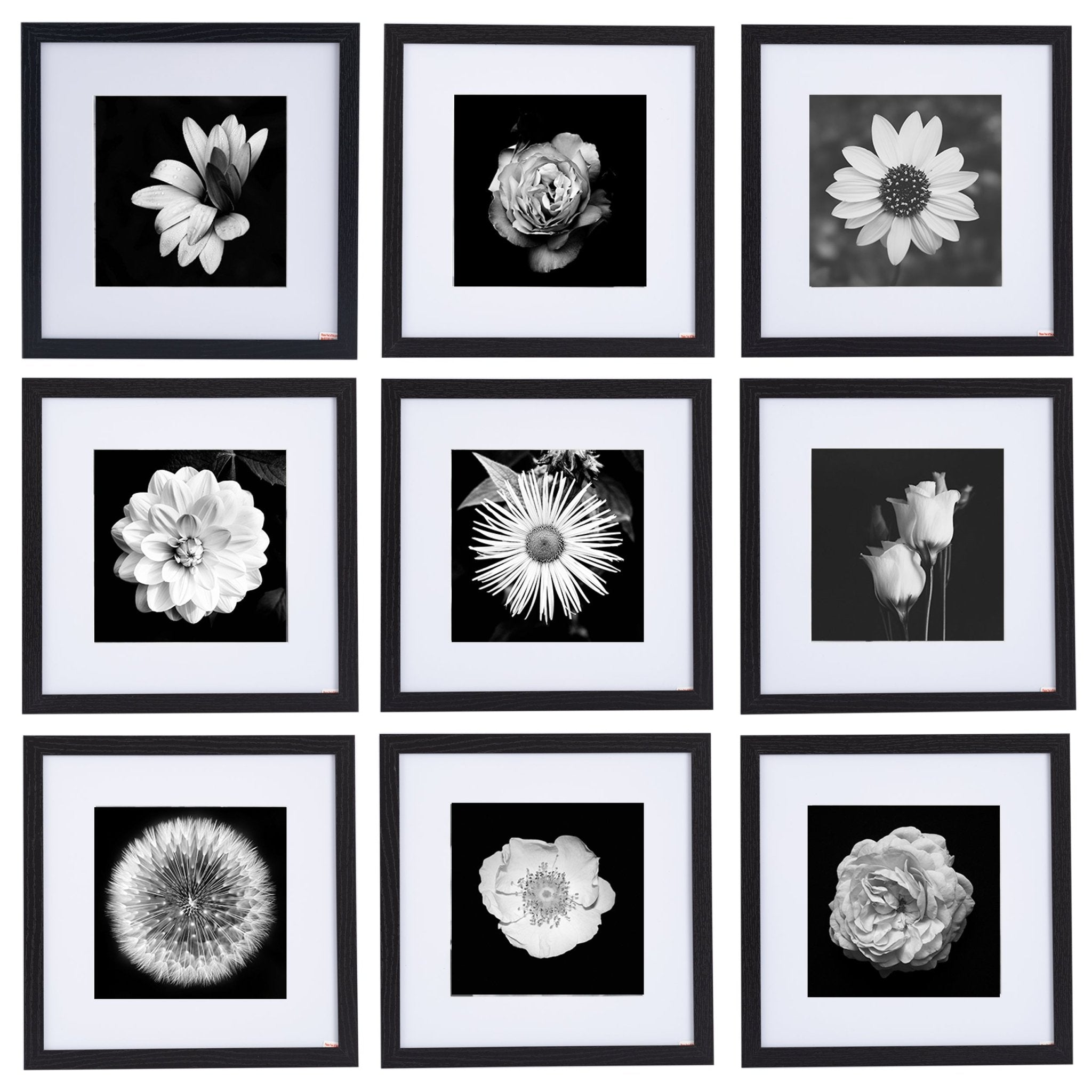 12" x 12" Picture Frames - Black