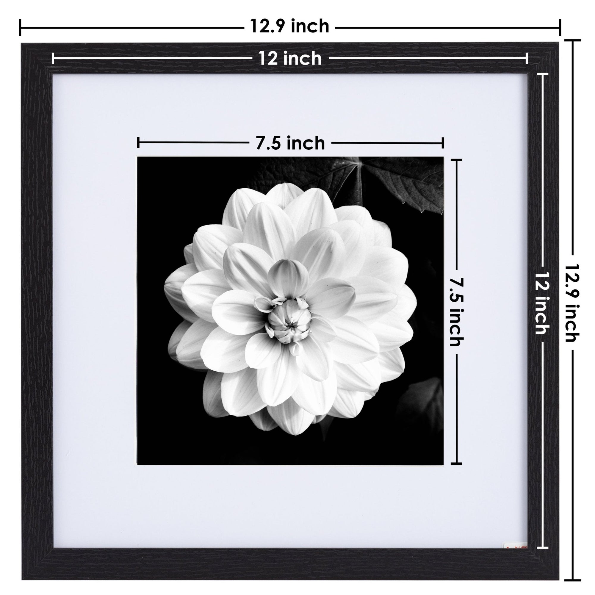 12" x 12" Picture Frames - Black