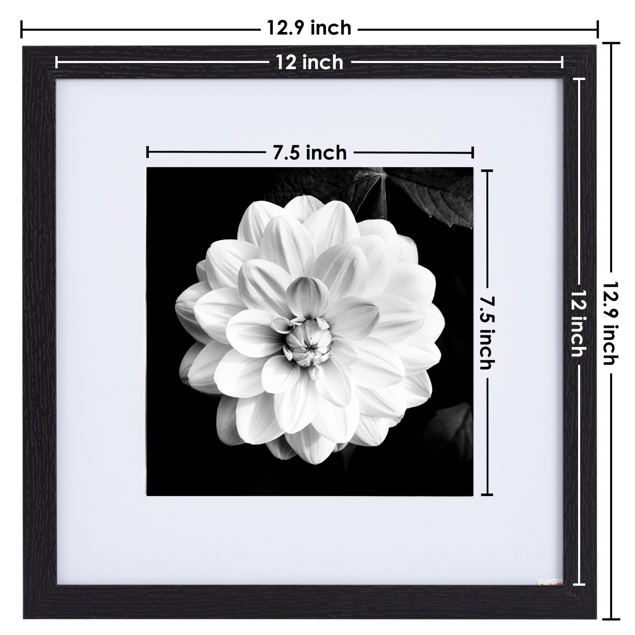 12" x 12" Picture Frames - Black