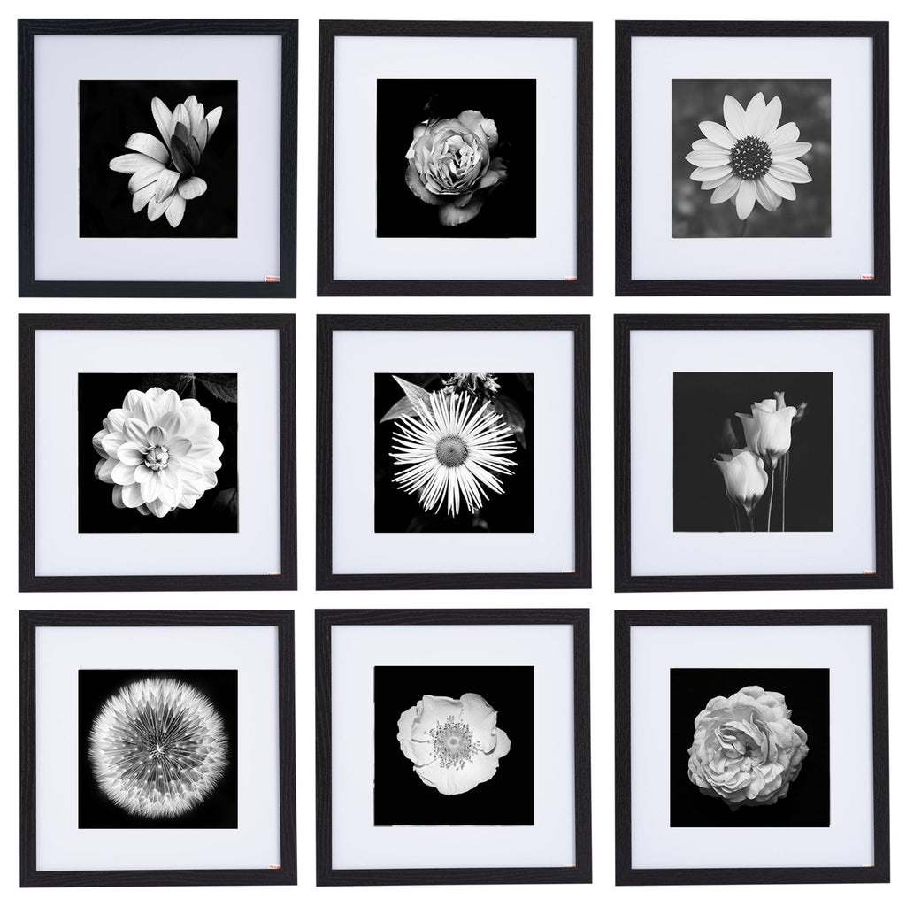 12" x 12" Picture Frames - Black