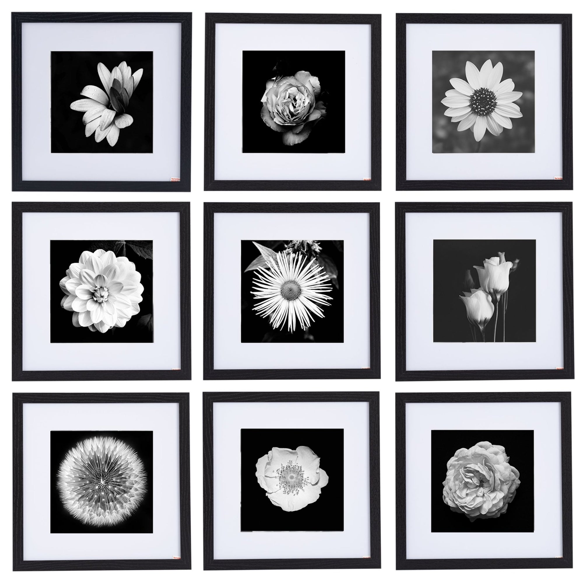 12" x 12" Picture Frames - Black