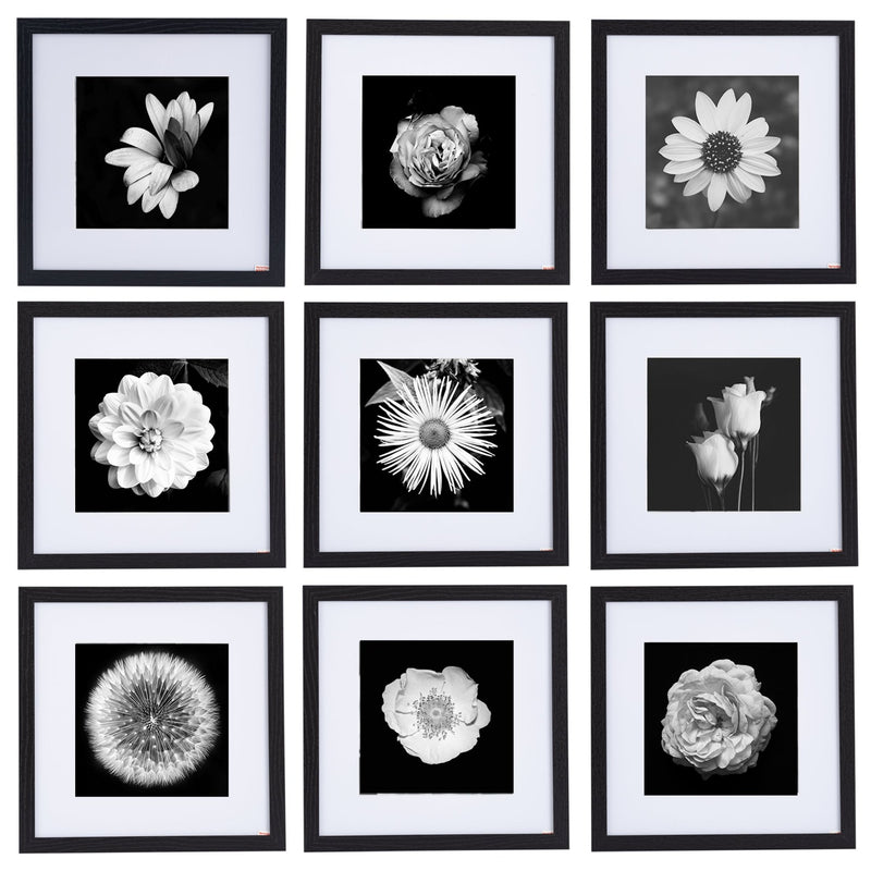 12" x 12" Picture Frames - Black
