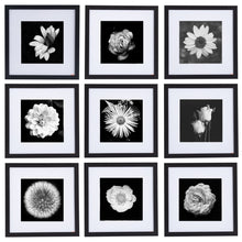 Load image into Gallery viewer, 12&quot; x 12&quot; Picture Frames - Black

